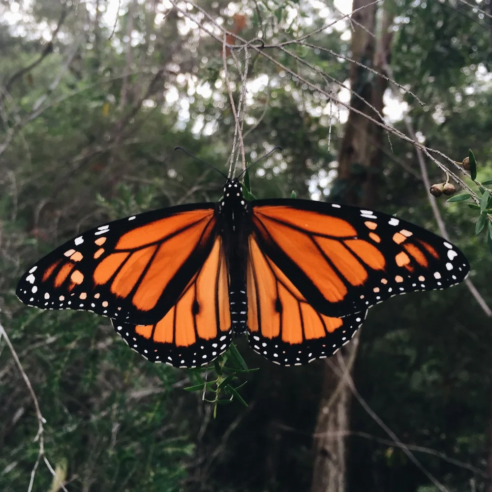River, Ellie &amp; Sam