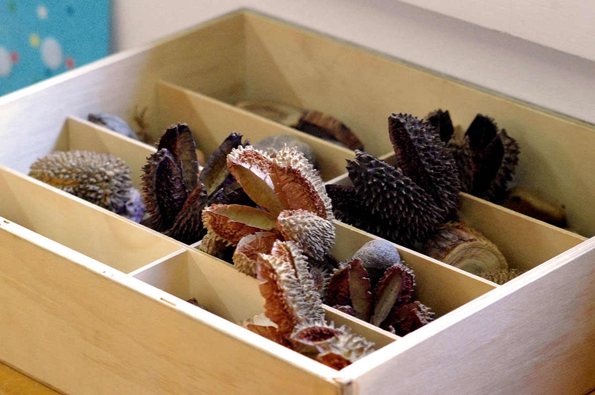 Rosellas Community Preschool seedpods and wooden nature play.jpg