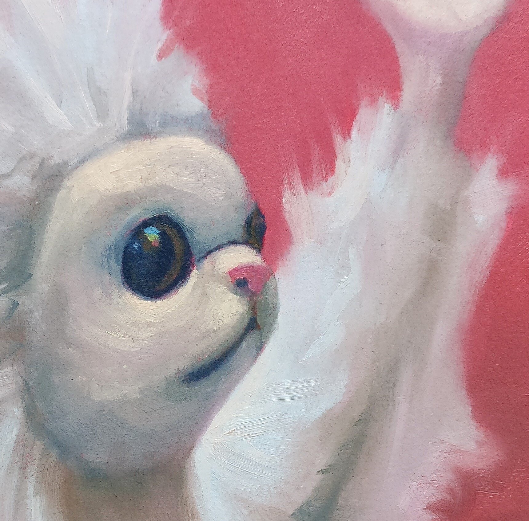 Persian Cat Room Guardian, By Crystel Pereira