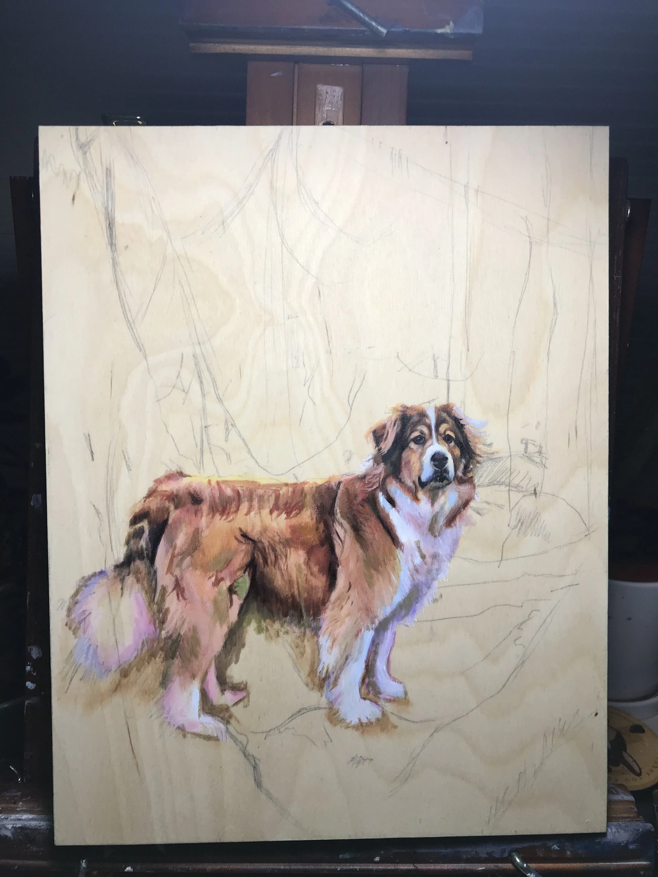 dog work in progree.JPG