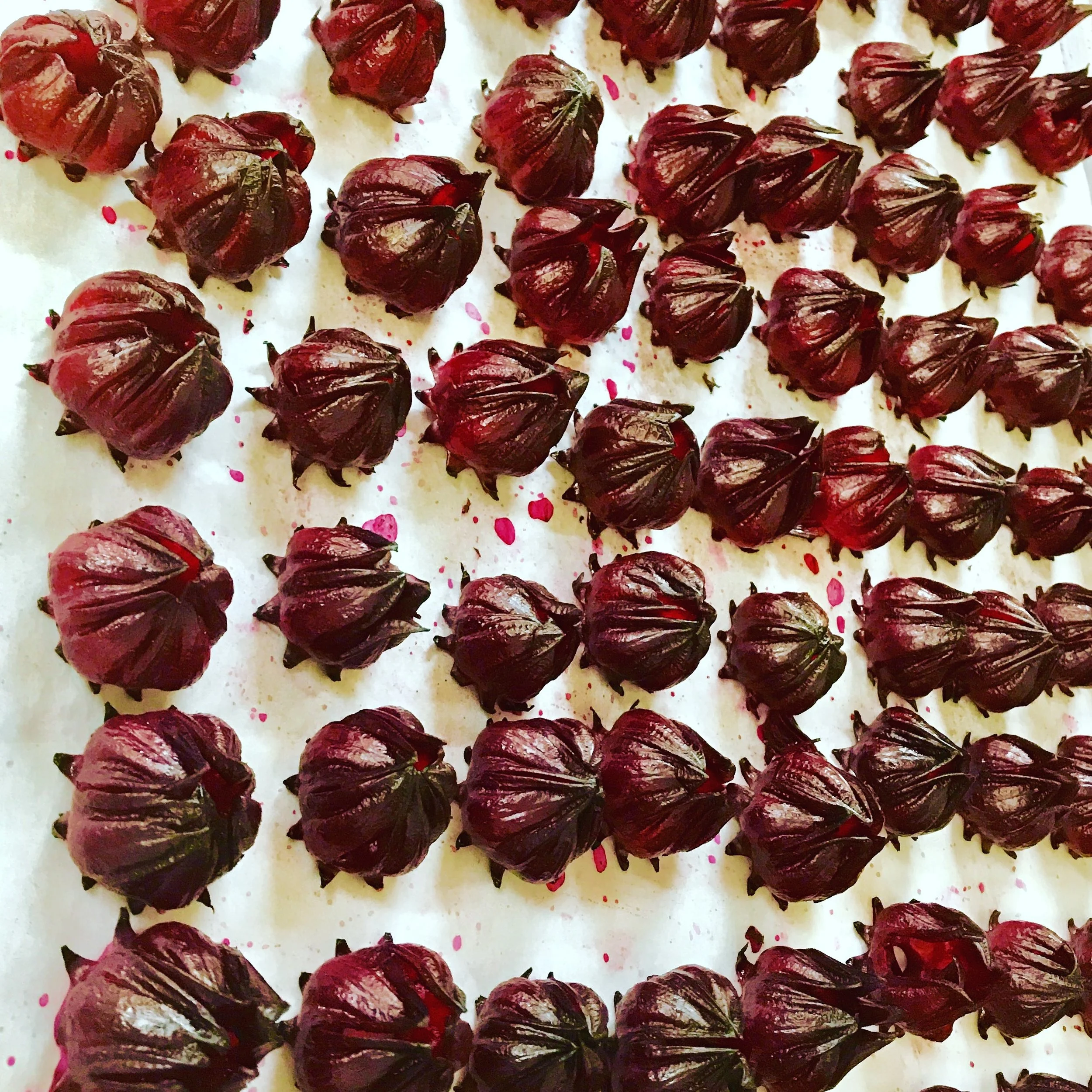 Rosella Leaves — KUNGKAS CAN COOK