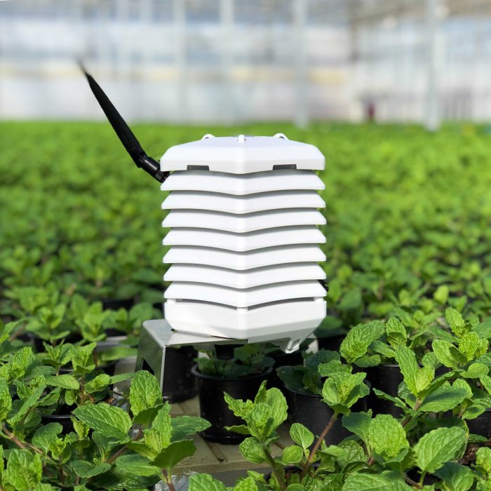 Indoor Wireless Sensor for Greenhouse Monitoring System from ACF
