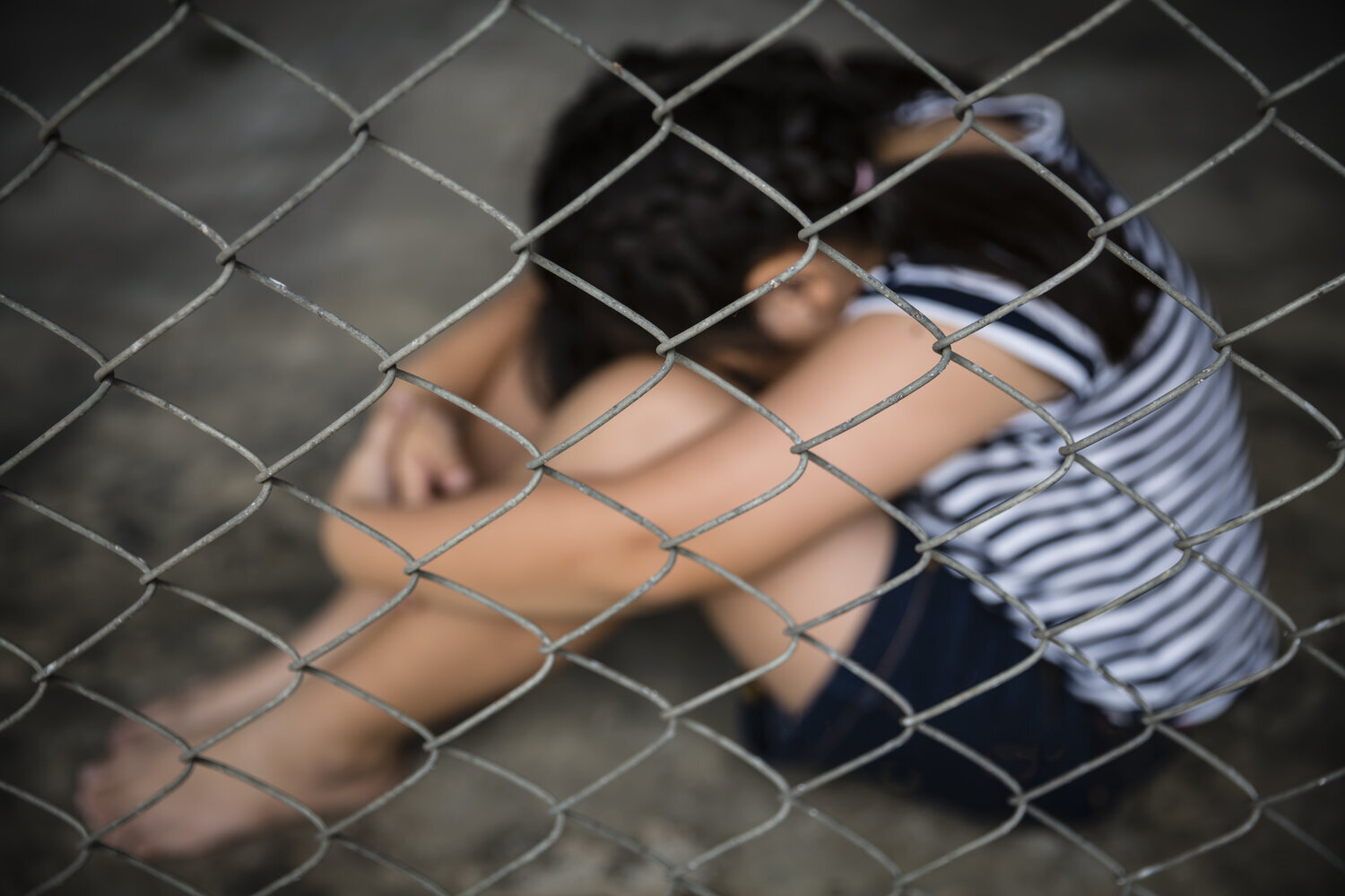 Cage-Free By Norma Beatriz Sánchez