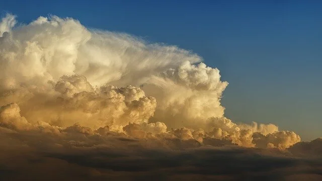 Today, Washington By Wyatt Welch