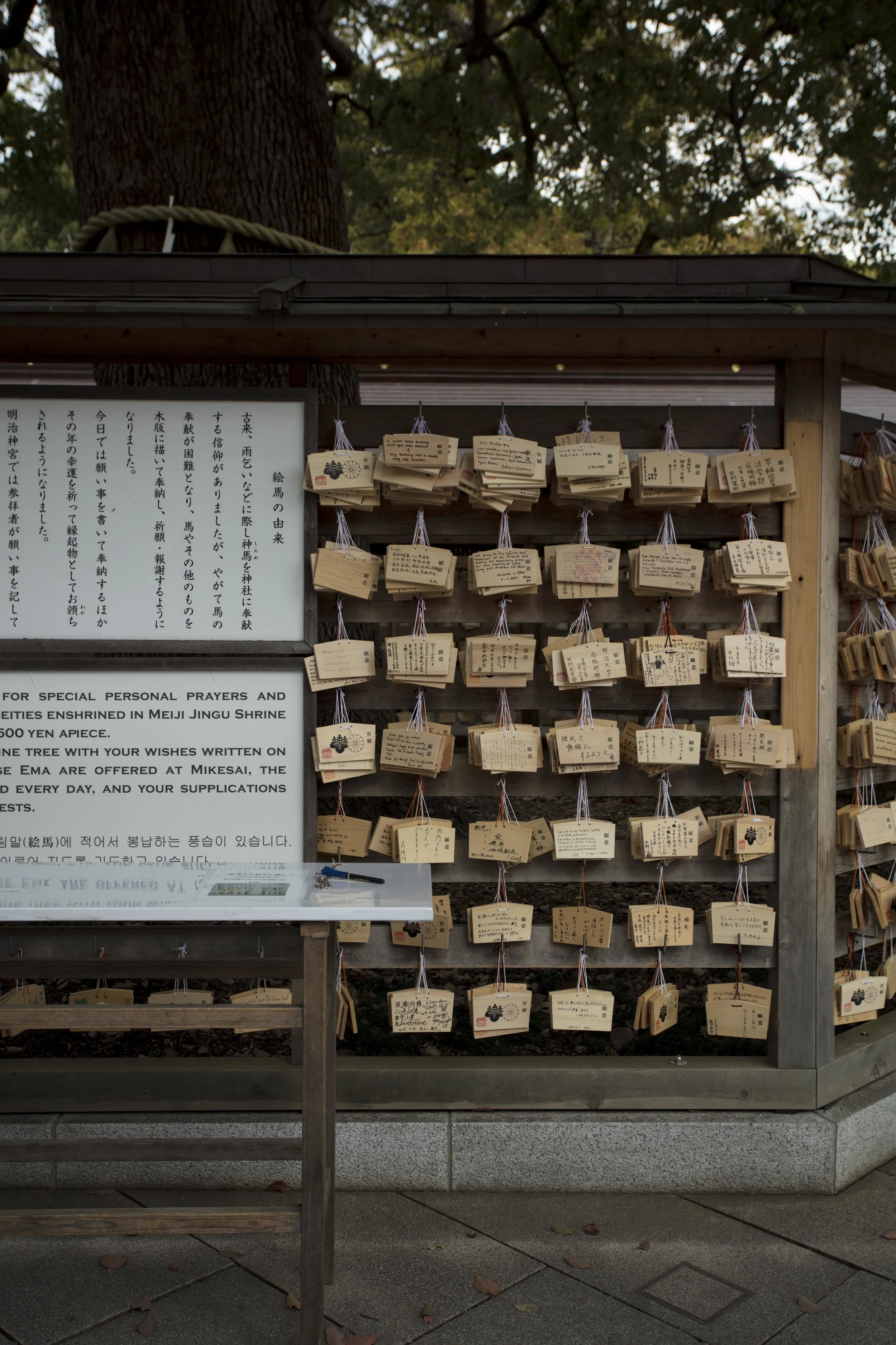 japan2.jpg