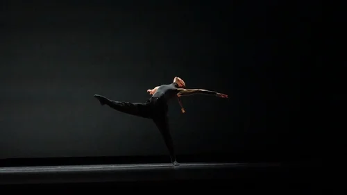 Storling Dance Theater, business photo 1