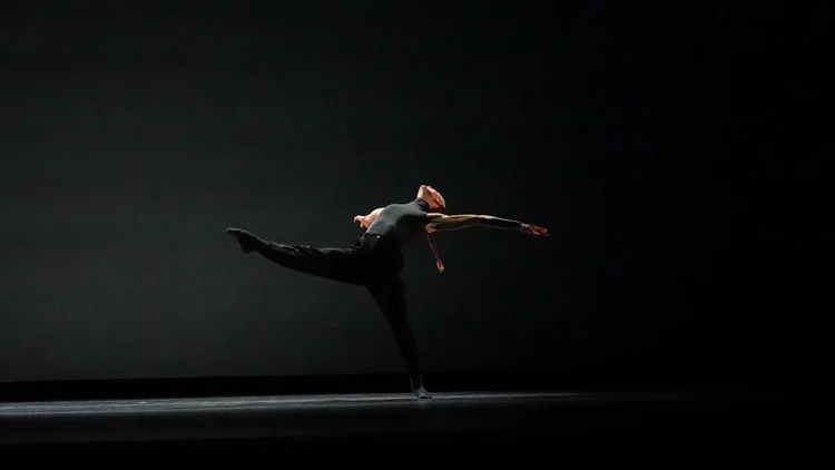 Storling Dance Theater business photo