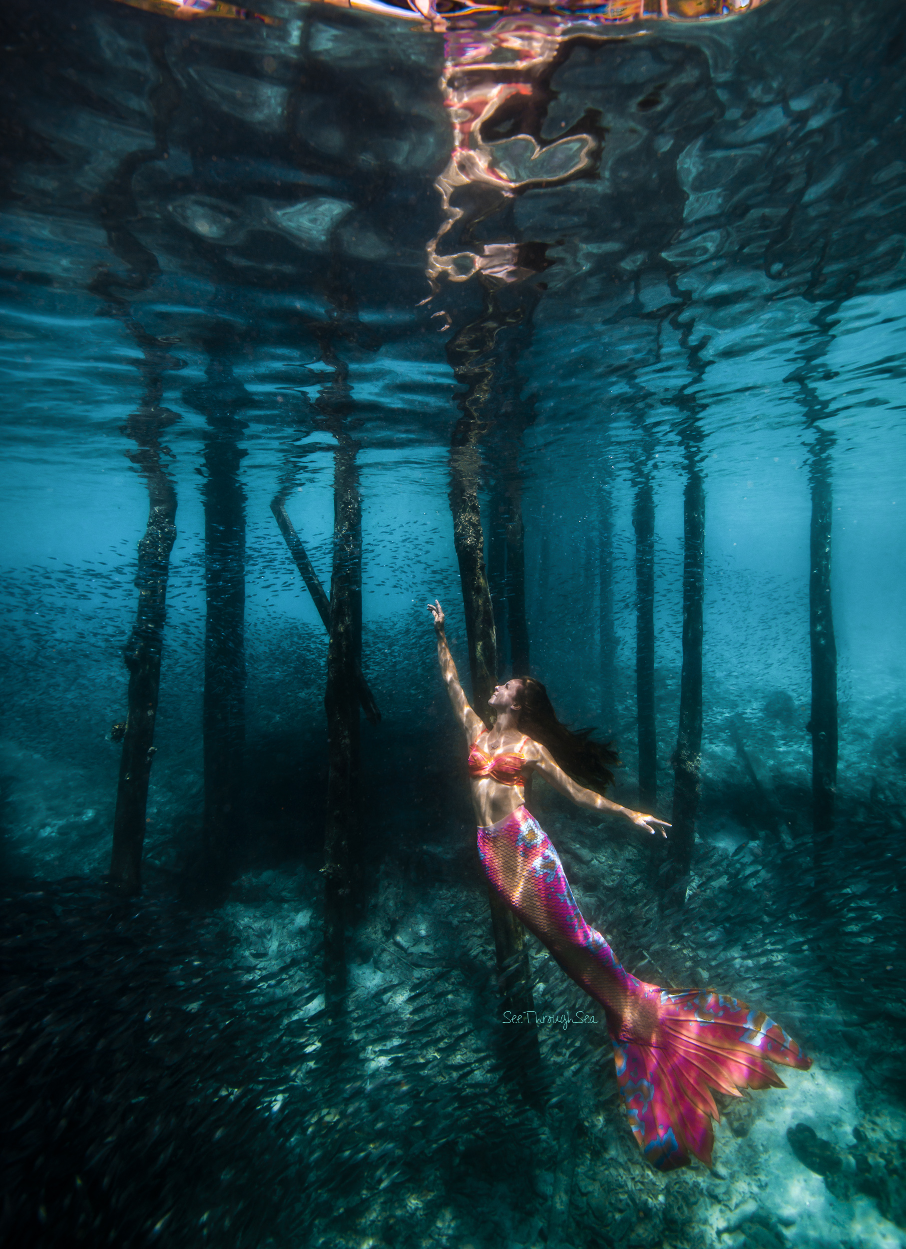 PC: JIM & ALICIA WARD - @SEETHROUGHSEAMERMAIDS - WWW.SEETHROUGHSEA.COM