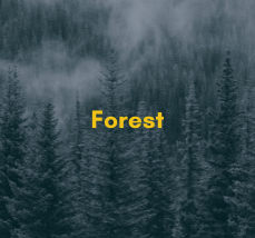 Forest.png