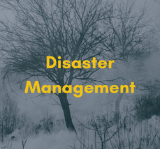 Disaster Management (New).png
