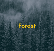 Forest (New).png