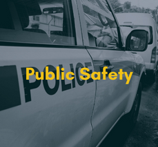 Public Safety (New).png