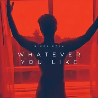 whatever you like copy.jpg
