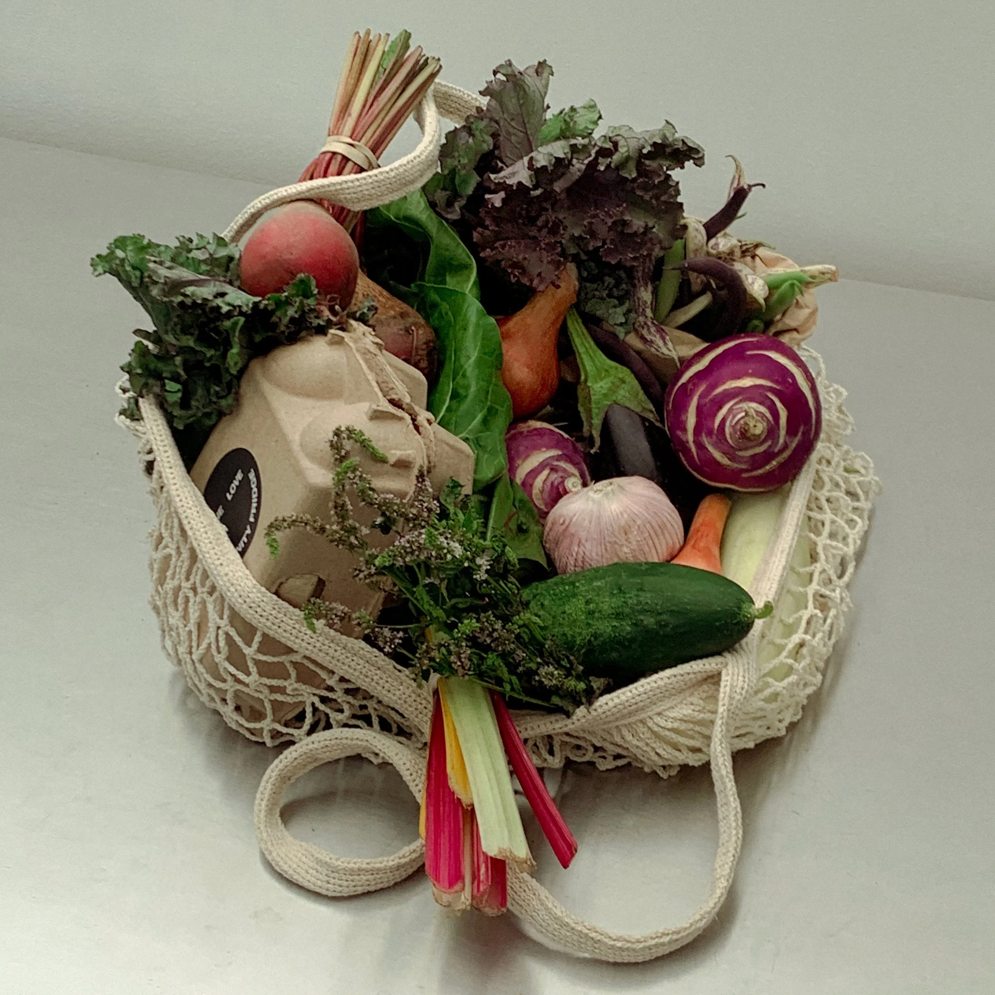 CSA-PRODUCT-IMAGE03.jpg