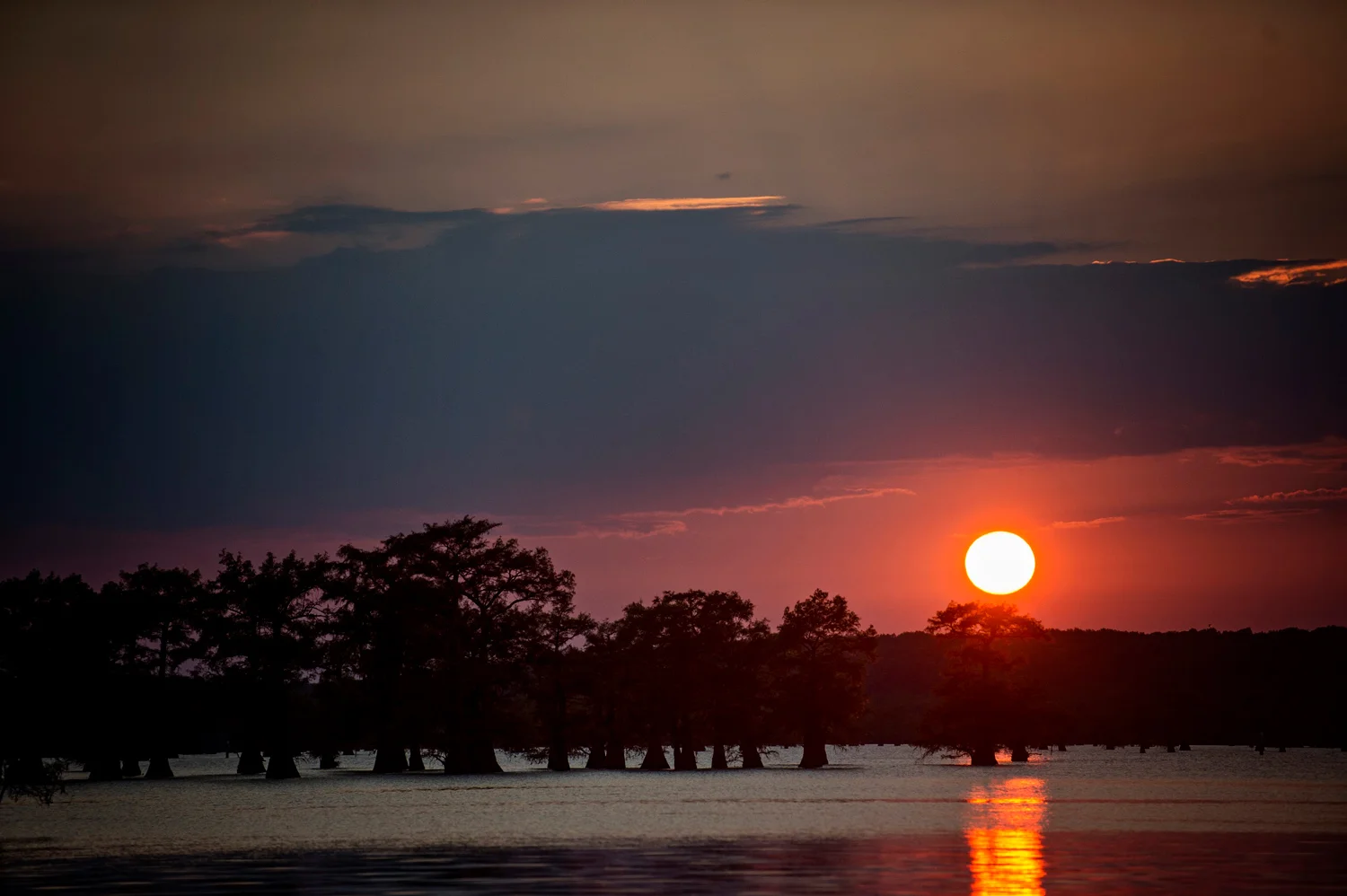 LAKE LIFE | CADDO LAKE