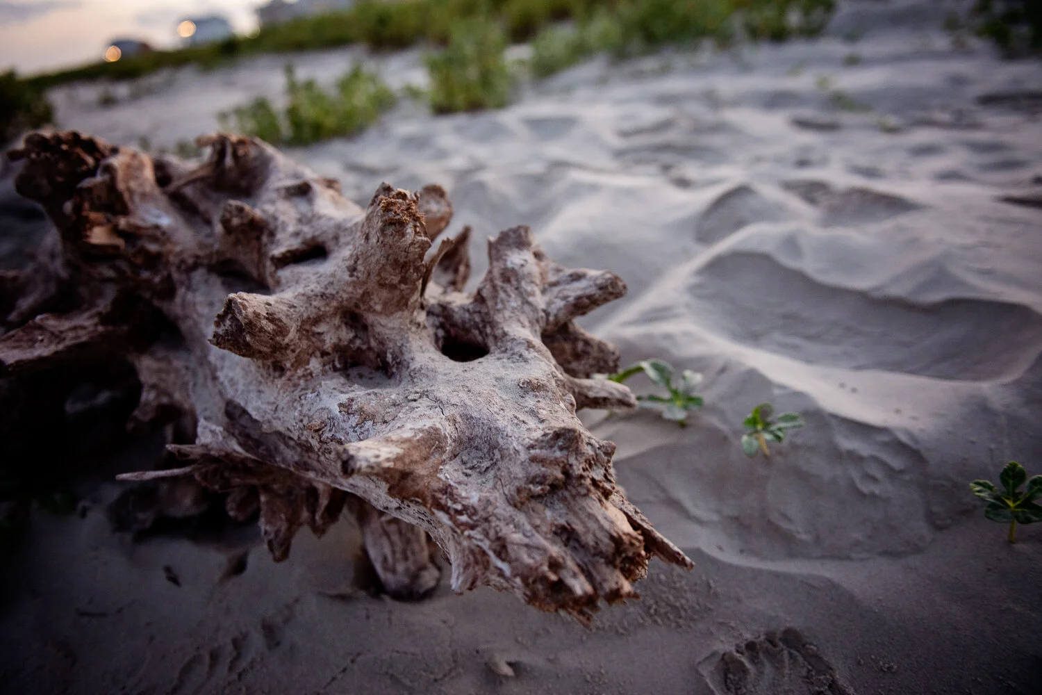 BEACH VACAY PT 1 - GALVESTON