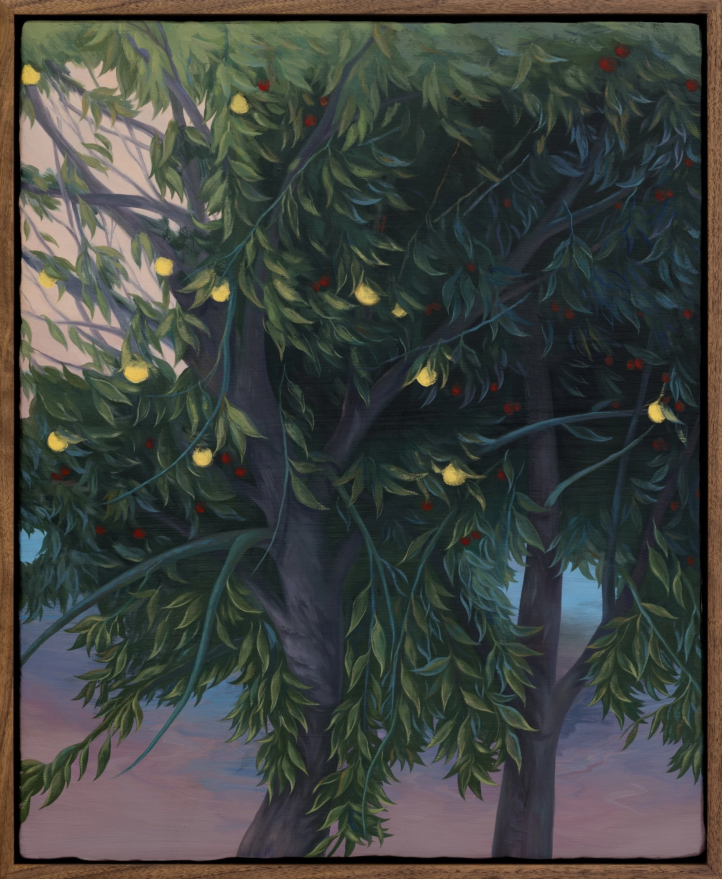 Golden Apple Tree and Apple Tree 金苹果树与苹果树
