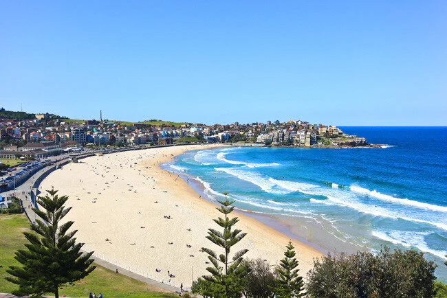 1331007052584_real_photo_bondi_beach-938x704.jpg