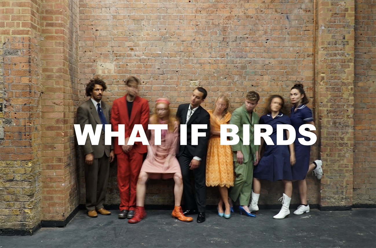   WHAT IF BIRDS &nbsp;// 2022 // photo by Euripides Laskaridis 