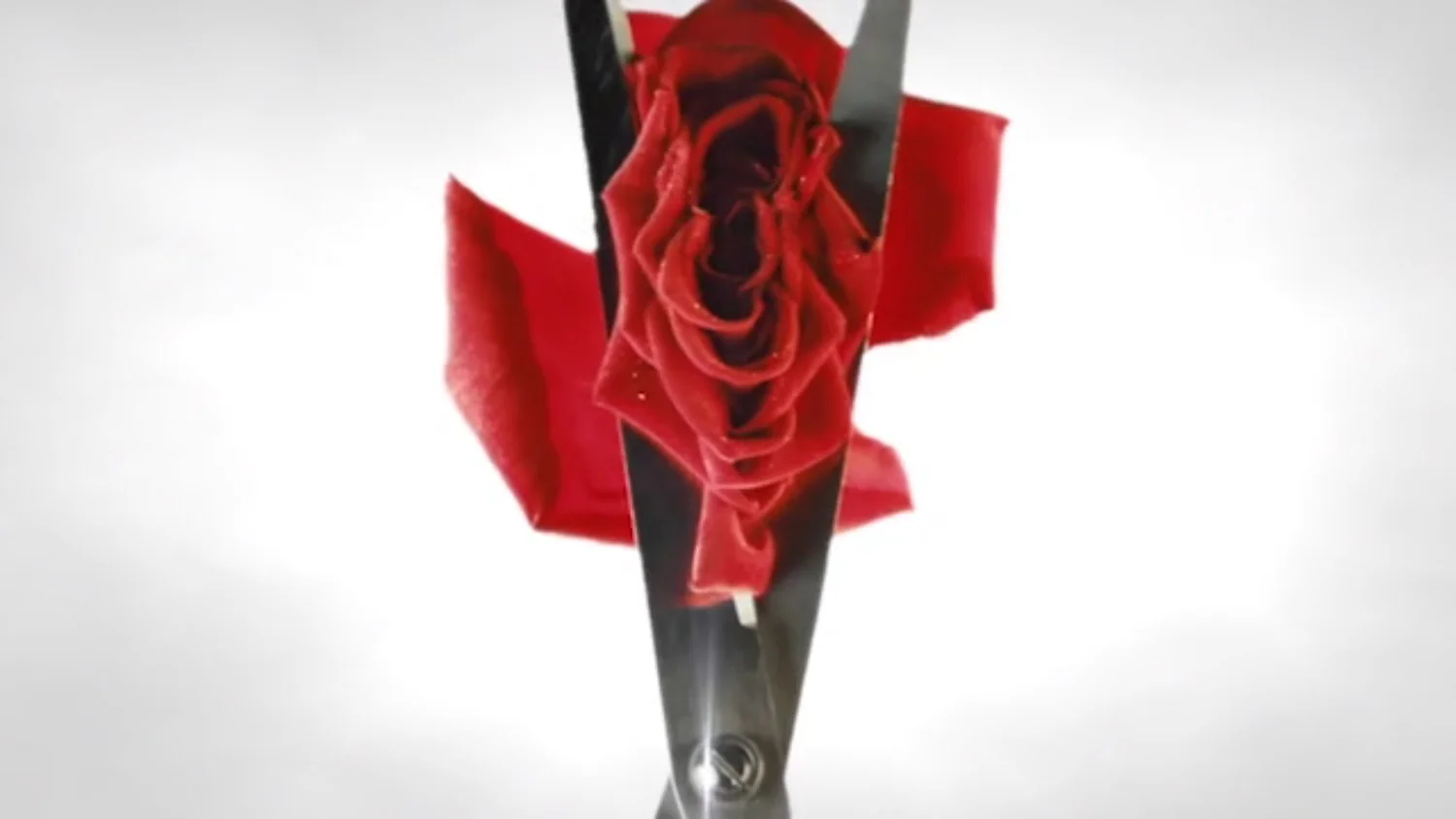 Case Study: FGM The Rose