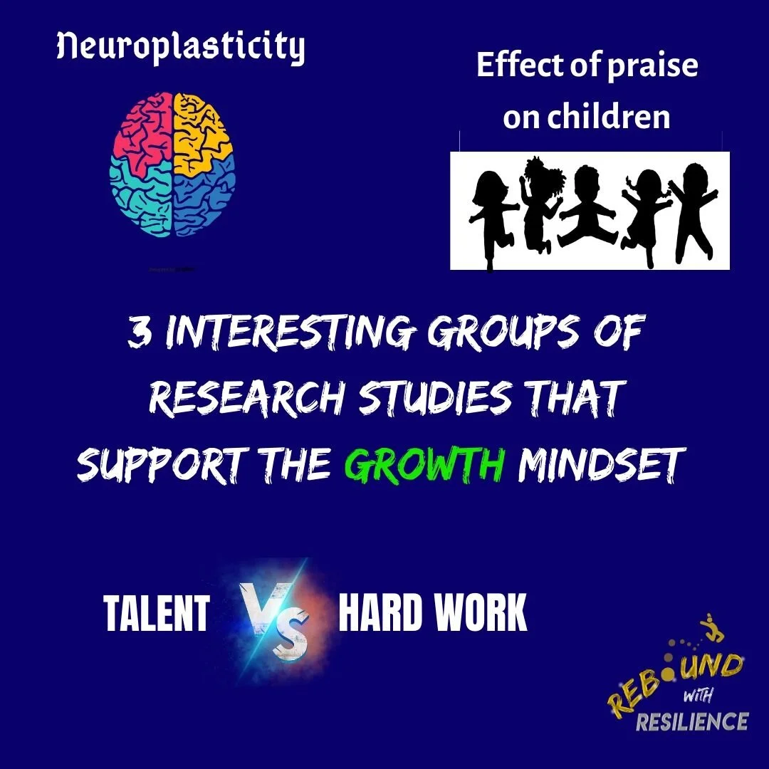 3 Groups of Studies That Shape The Growth Mindset (& how parents, educators and students can use it to build resilience)