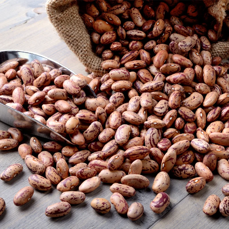 Dried Pinto Beans