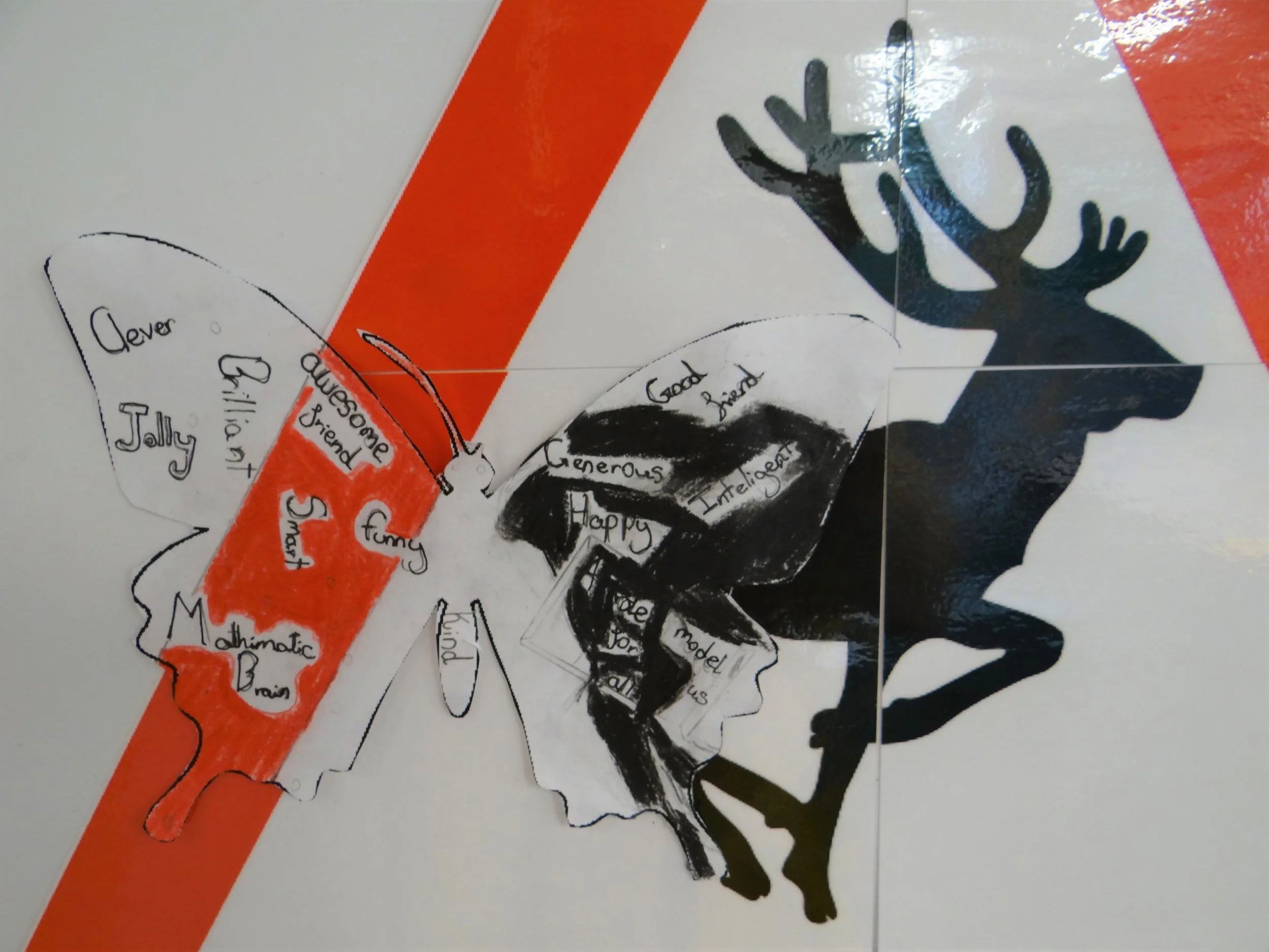 BEAUTIFUL BUTTERFLIES