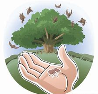 The Parable of the Mustard Seed Mark 4v30-32