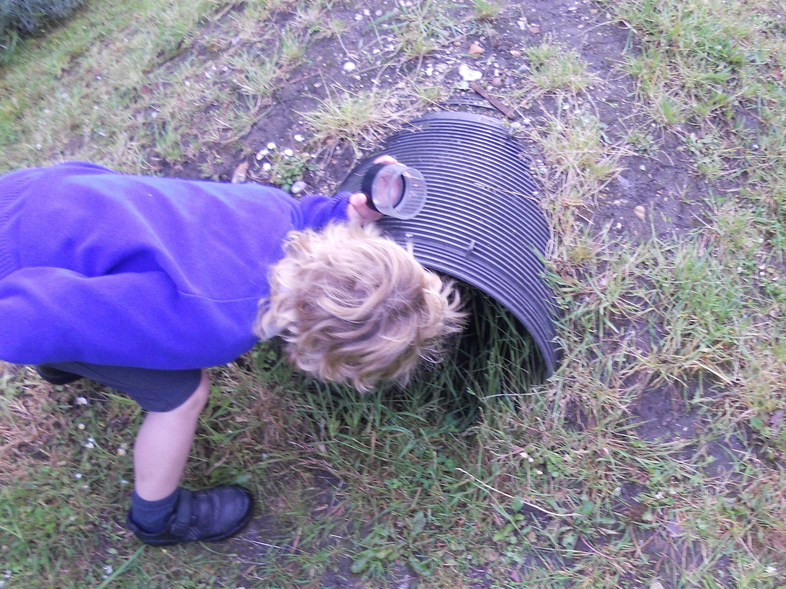 DSCN5676.jpg