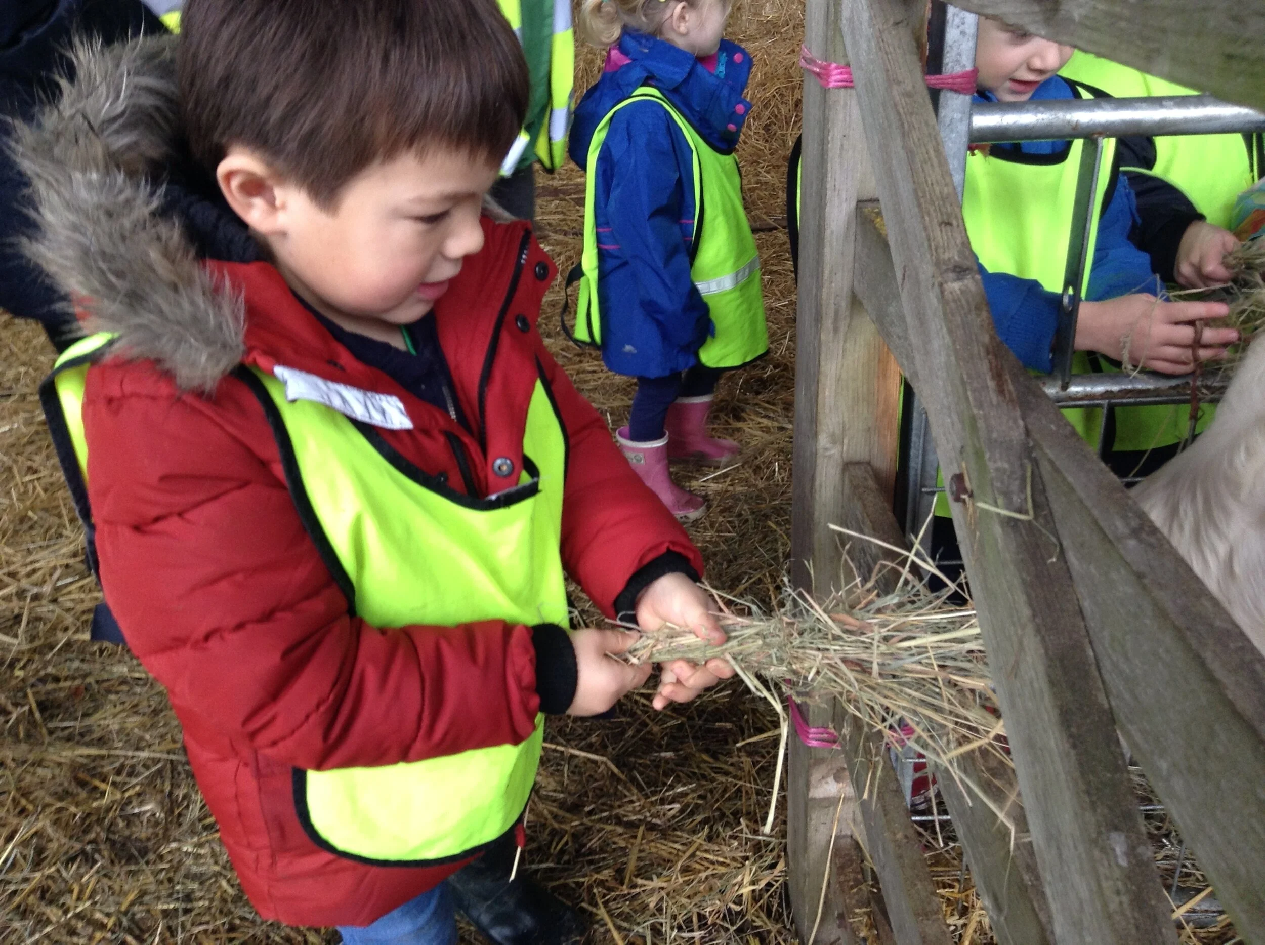 Trip to Riverbourne Farm 