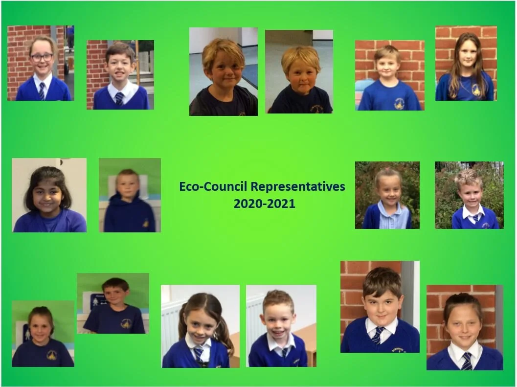 Eco Council — Downton CE Primary School