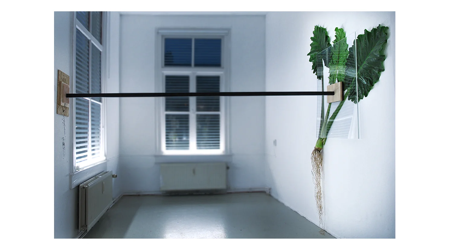 Herbarium Euphemismus 2013 alocasia, plexiglas, metal, wood, rubber This is a takeover - 4 solo exhibitons @Outline, Amsterdam
