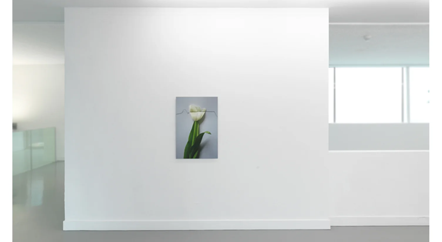 Herbarium Hechting 001 on display @ ‘Wishful Thinking’ | Kunstverein Diepenheim curator: Alexandra Landré courtesy Akzo Nobel Art Foundation