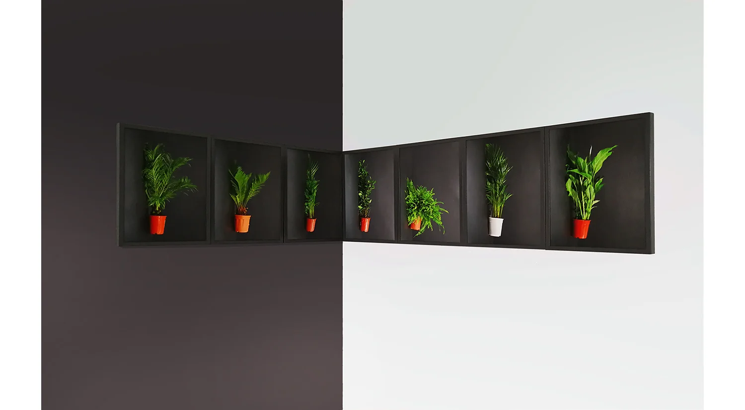 Selfmade Laziness 7 piezo prints, framed 24 x 136 cm on display @ Club Gem
