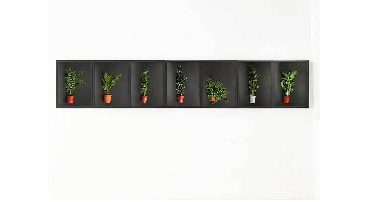 Selfmade Laziness 7 piezo prints, framed 24 x 136 cm