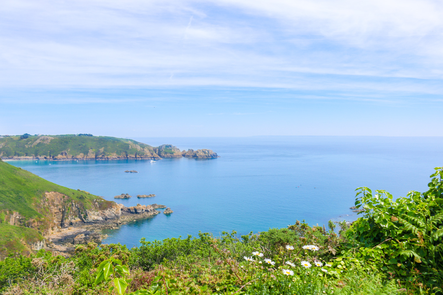 View of South Coast Cliffs from Back Garden
