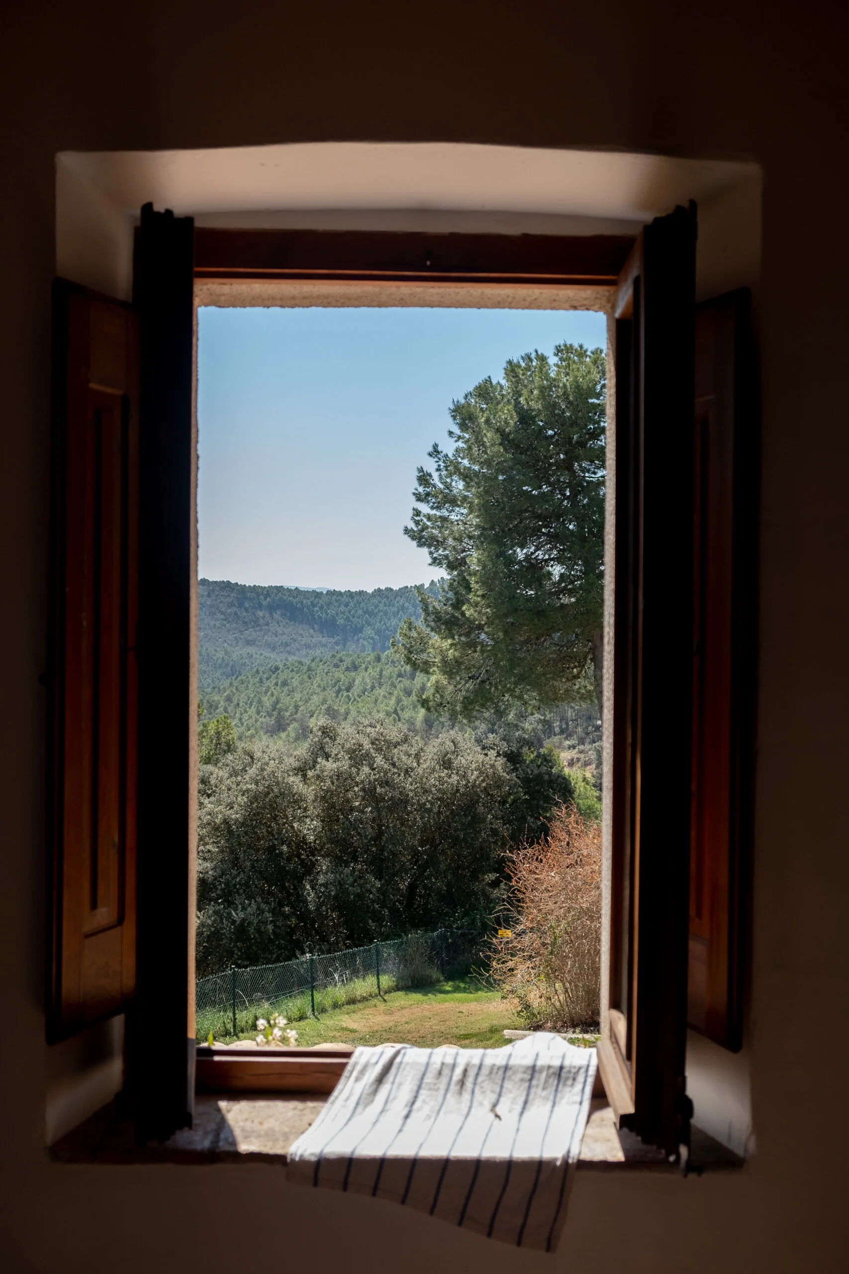 DSCF2273.jpg