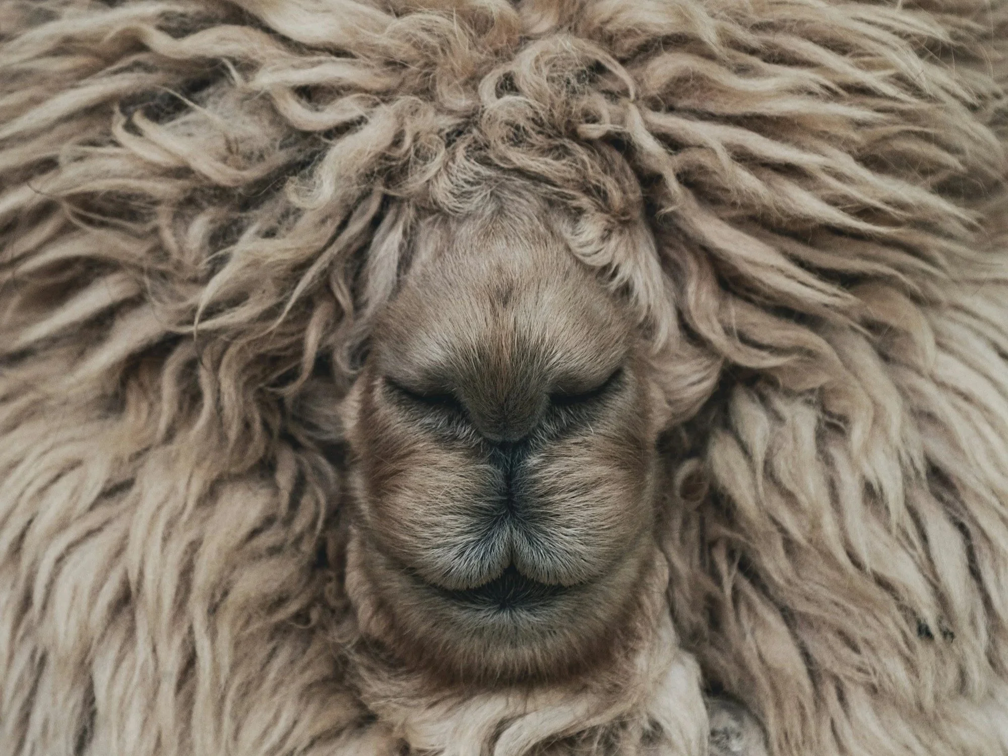 Alles steht Kopf – nur nicht immer wegen dir