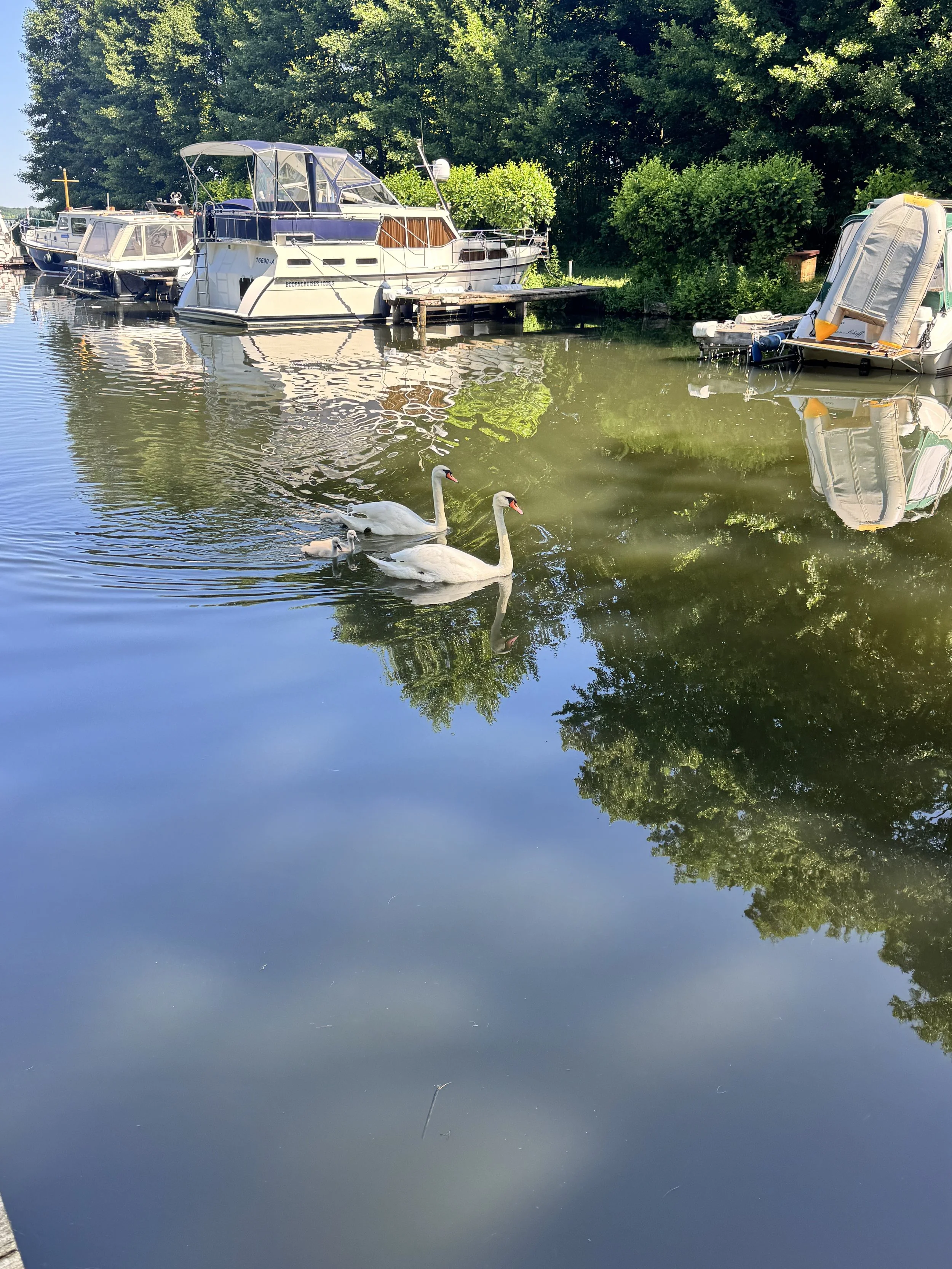 IMG_7922.jpeg