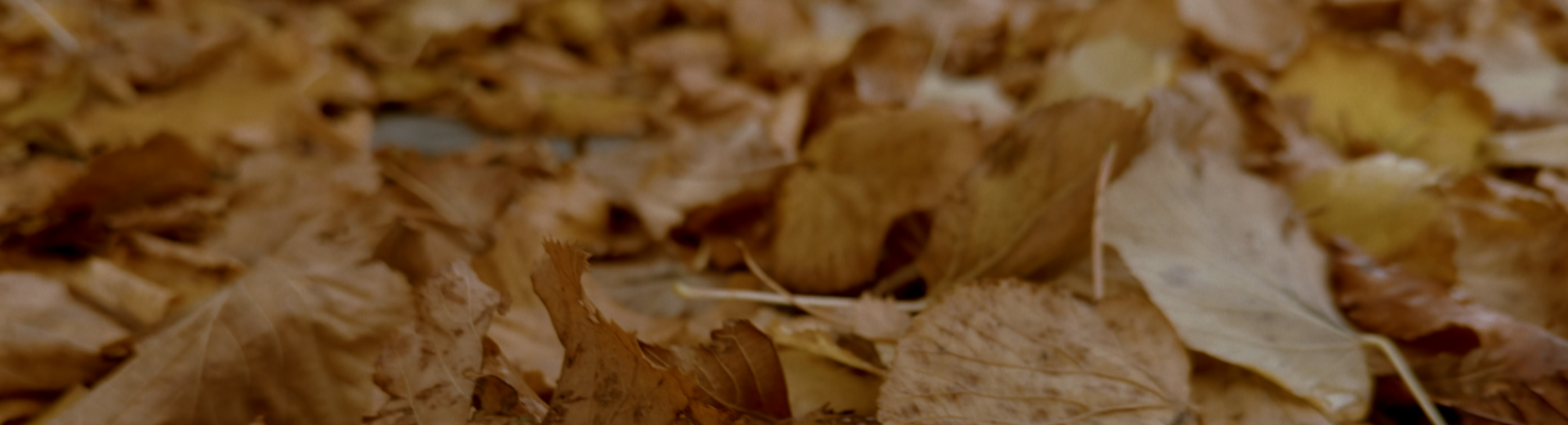 Screenshot 2025-12-01 at 17.50.29.png