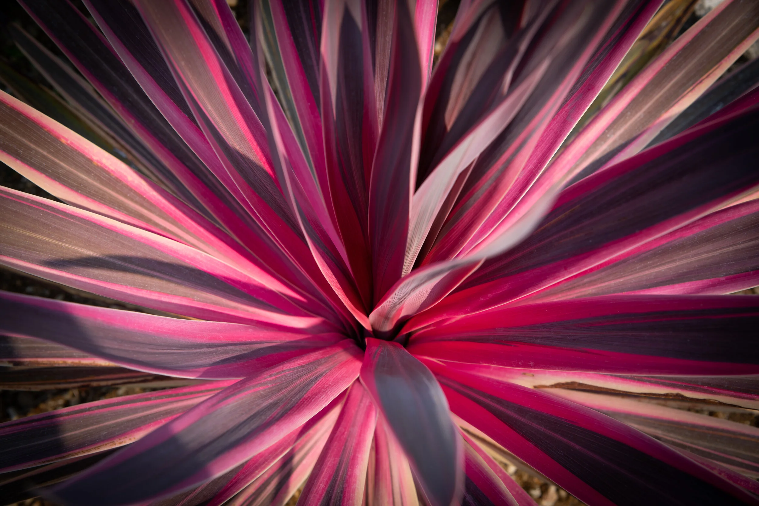 CCN_1209.jpg