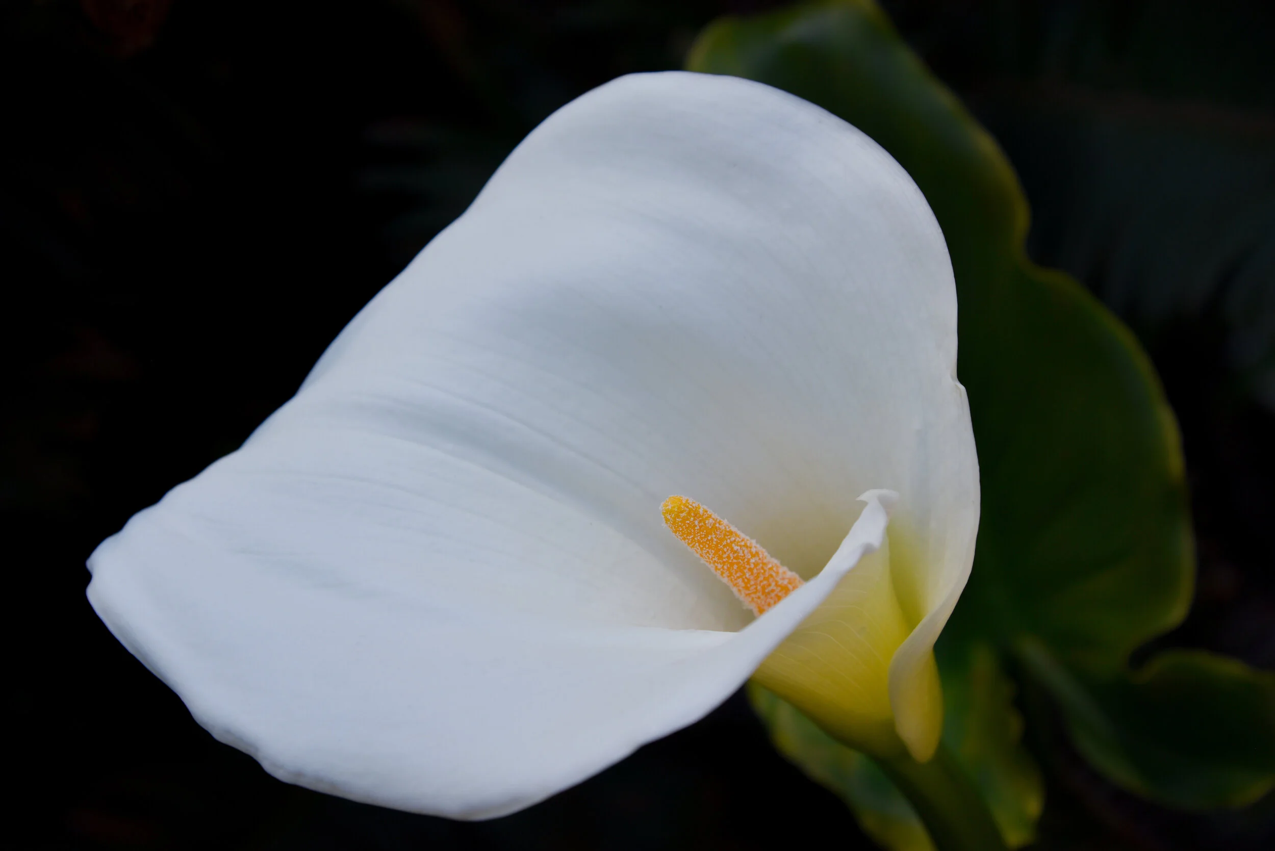 CCN_2813-2.jpg