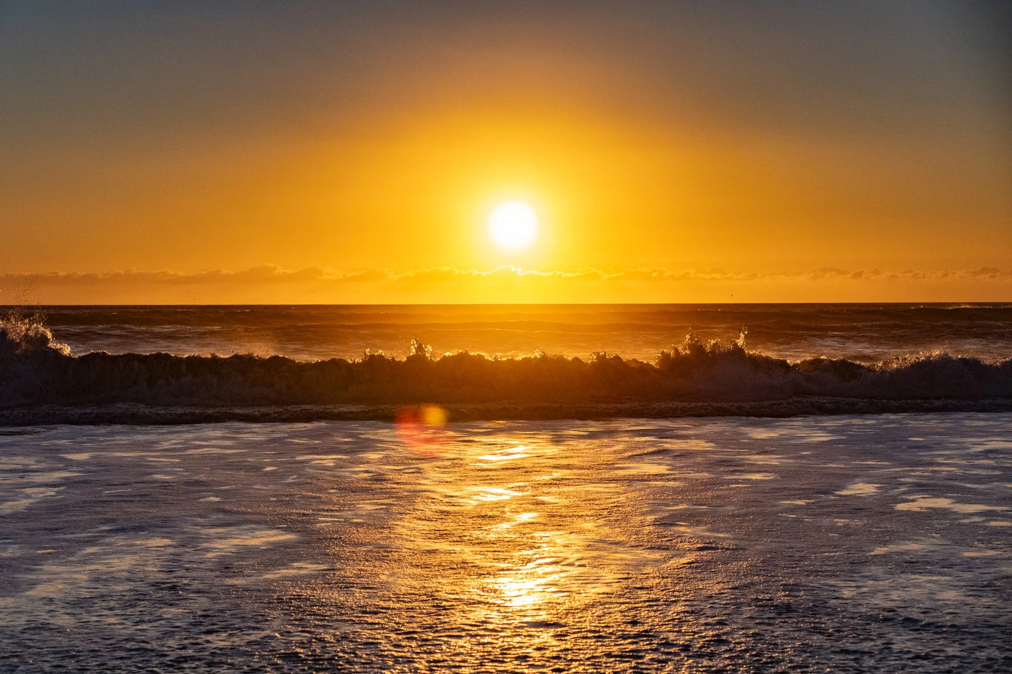 DSC_3525-2.jpg