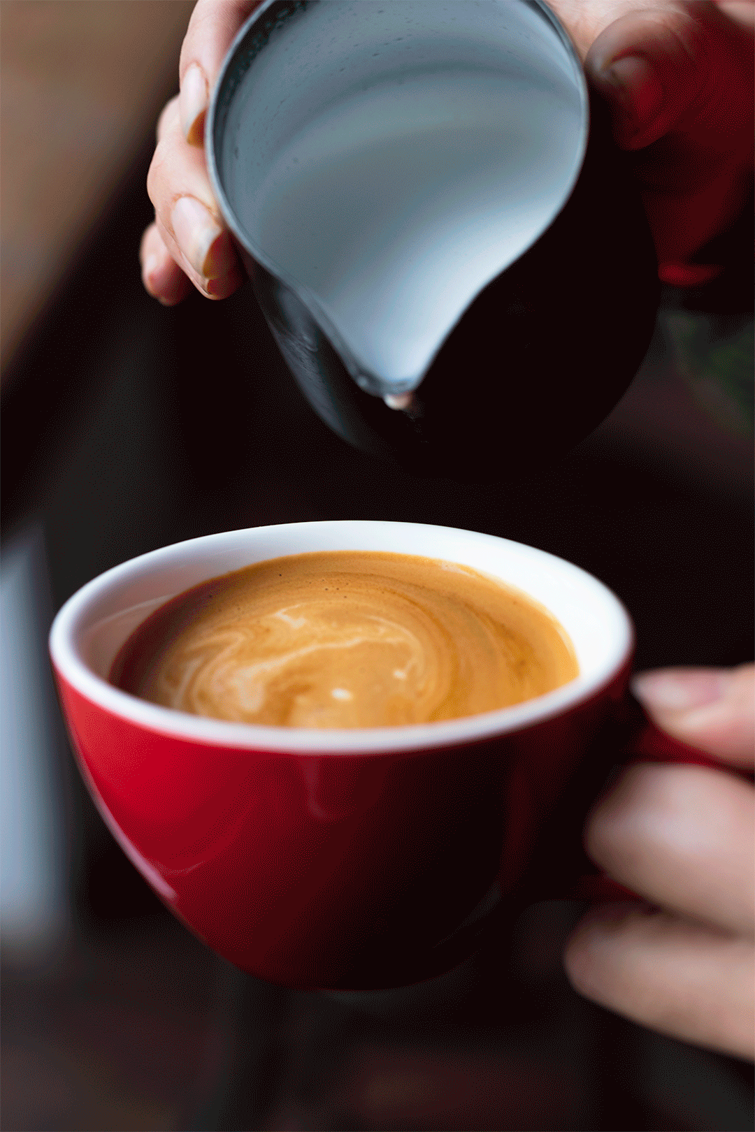 Restaurant photographer - Kamile Kave - Stop Motion GIF Pouring Milk in Coffee.gif