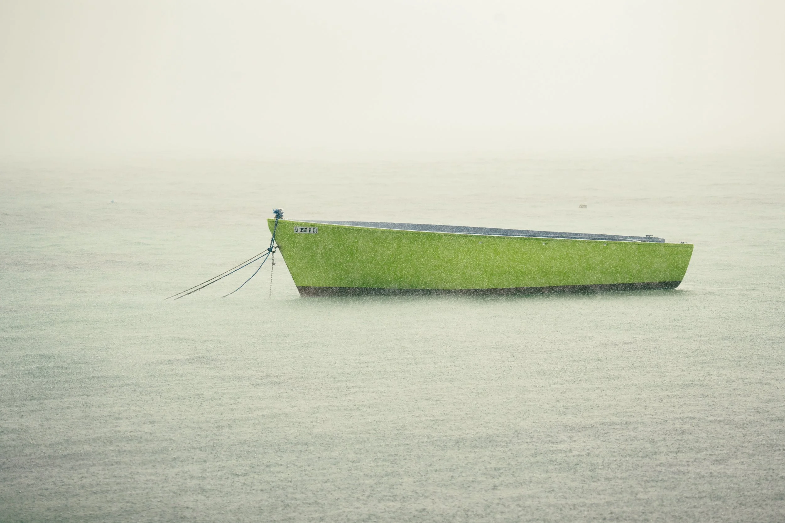 Between Tide and fog.jpg