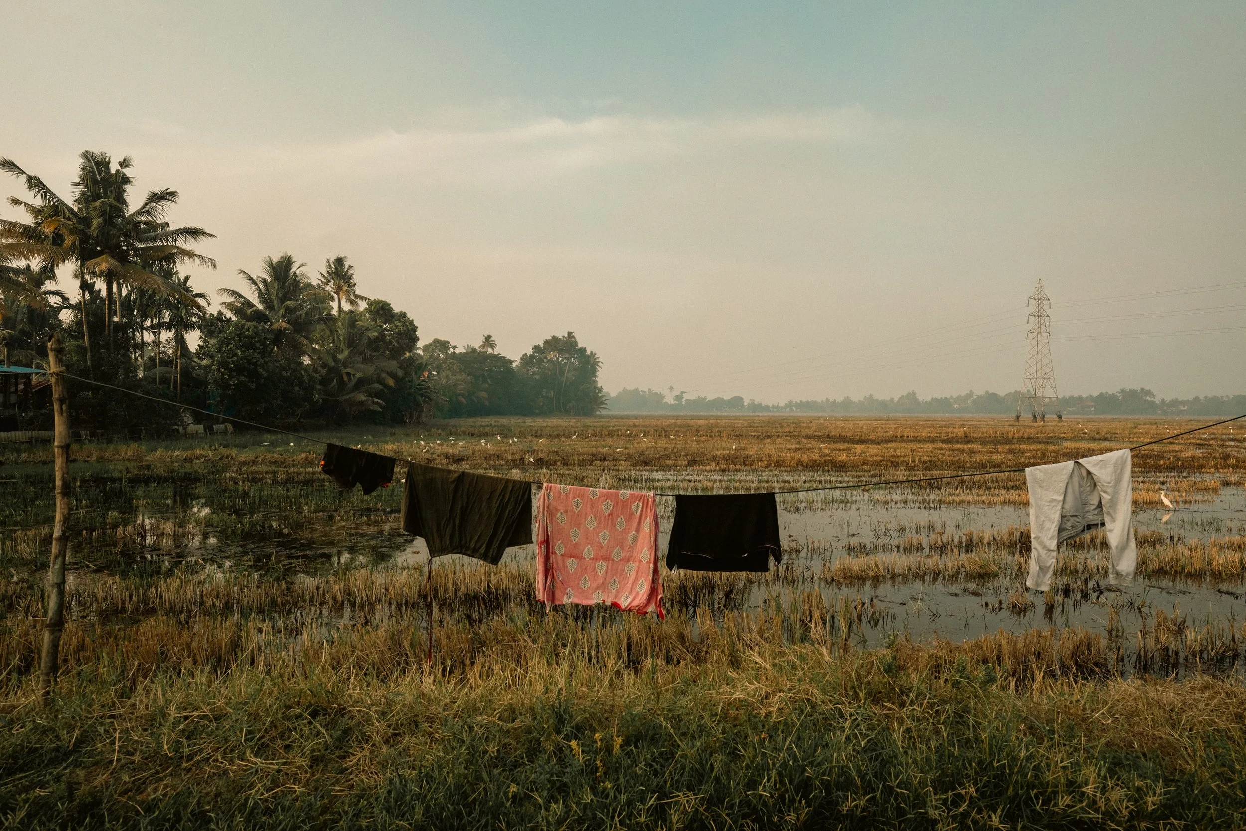The Fabric of Lanscape.jpg
