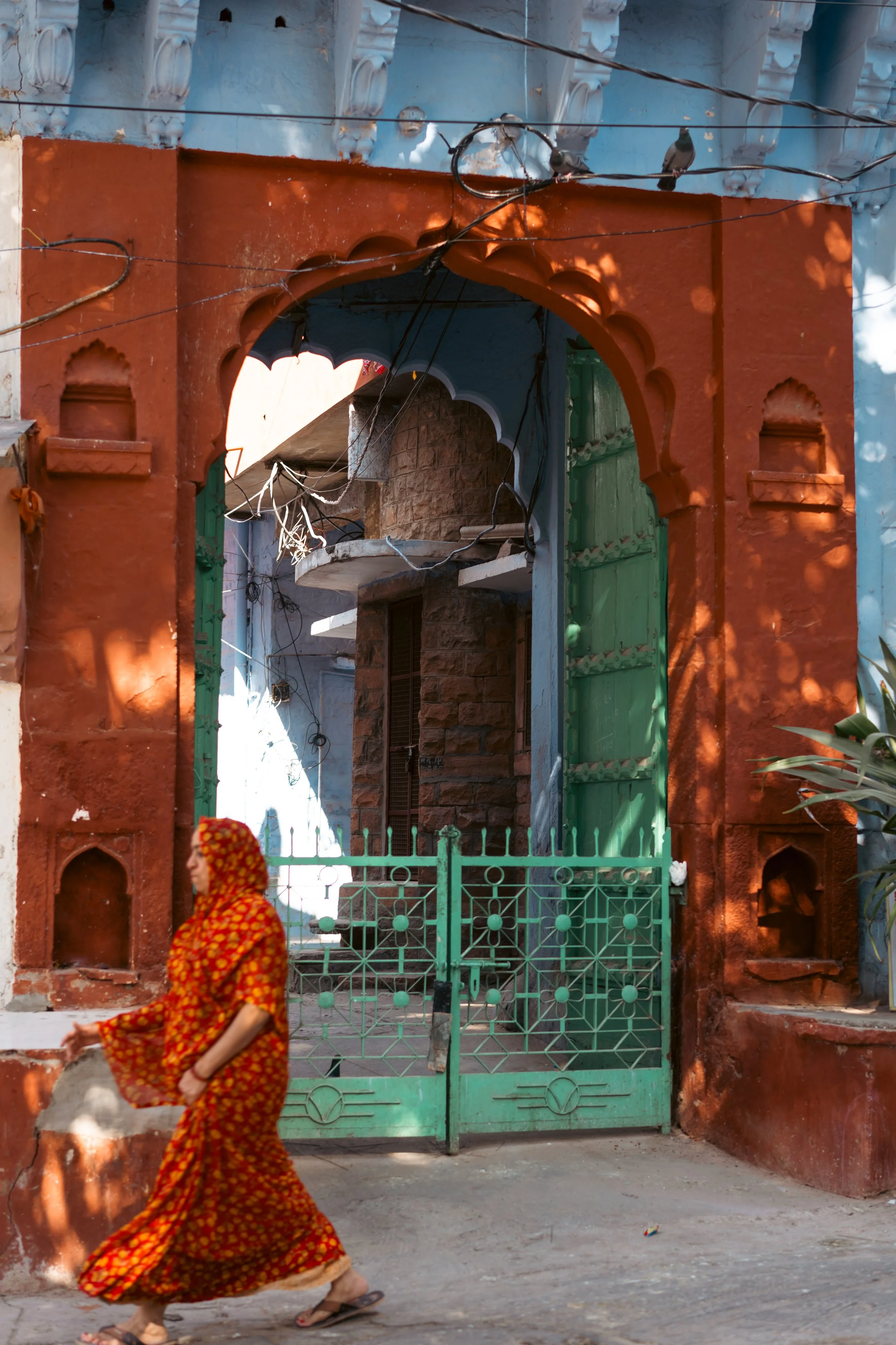DSC02115.jpg