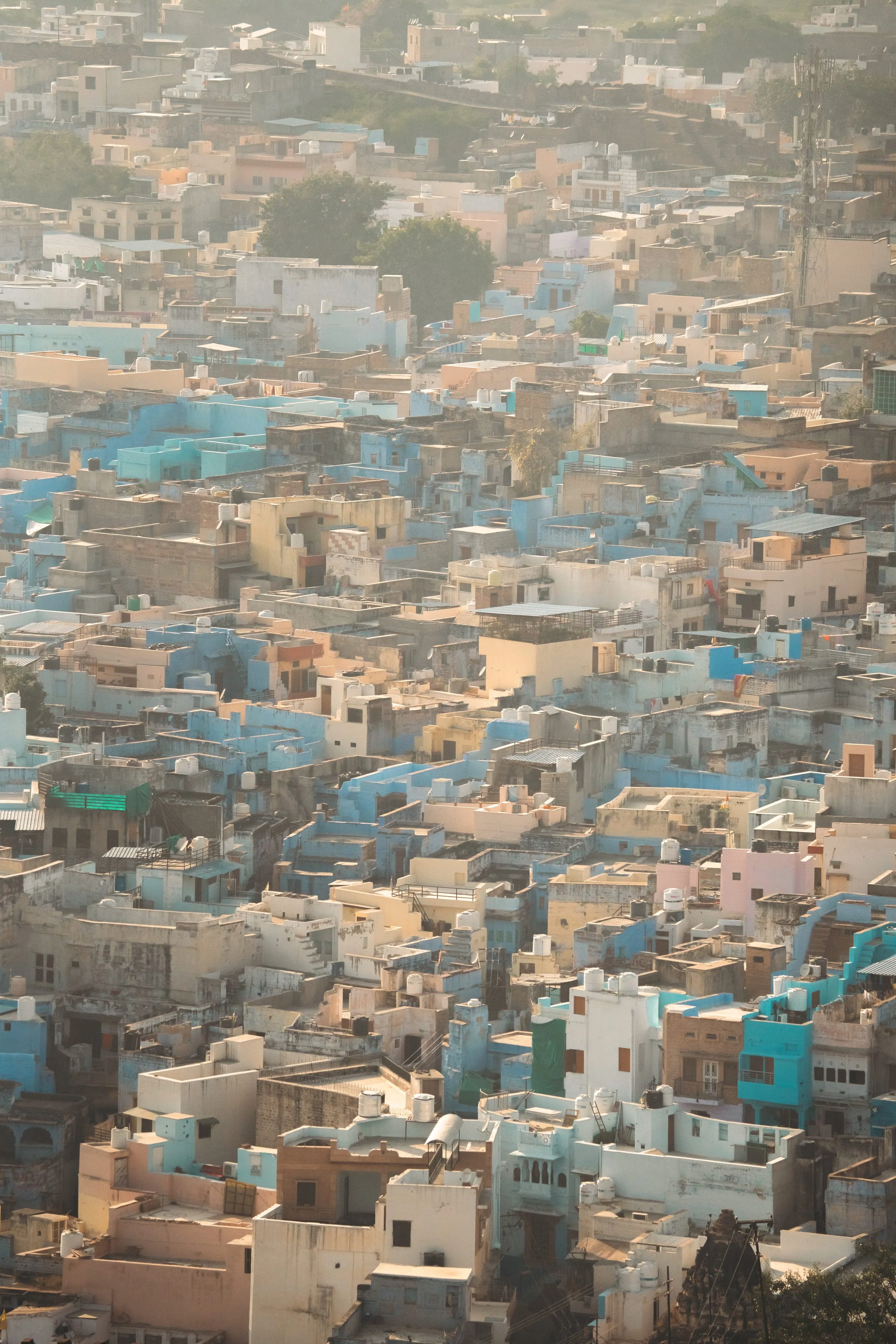 Jodhpur Mosaic.jpg