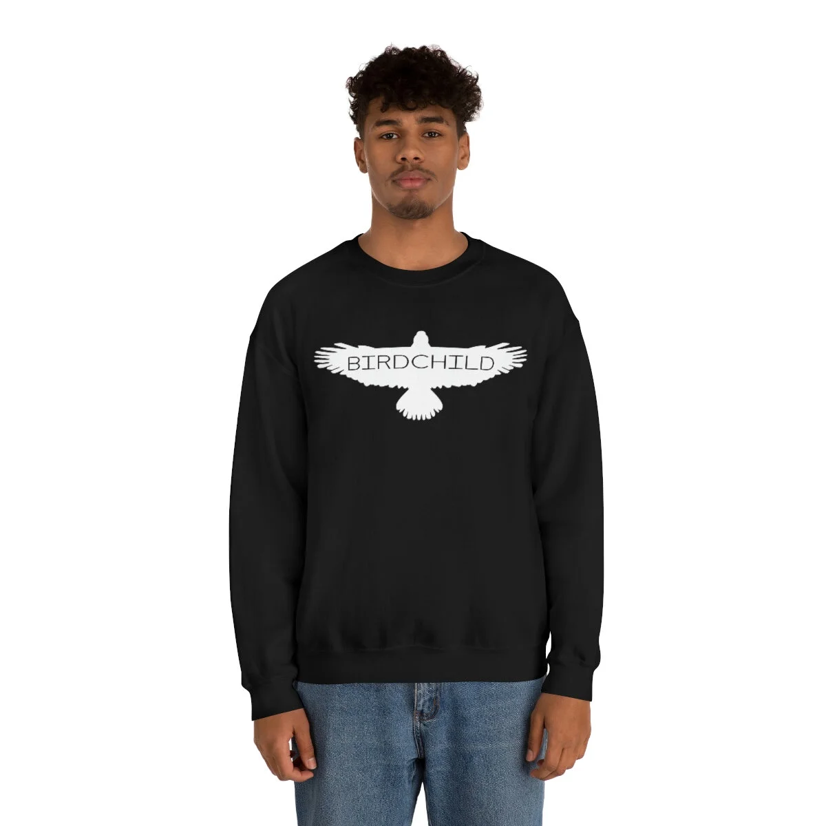 e93d941db33ffe2bd68beceffc5c77b9