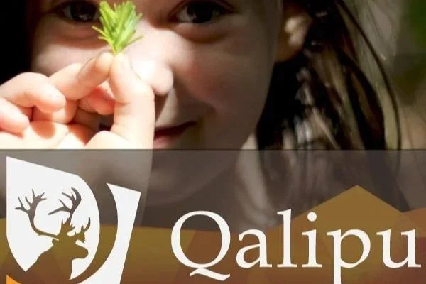 Aboriginal Law and the Qalipu First Nation